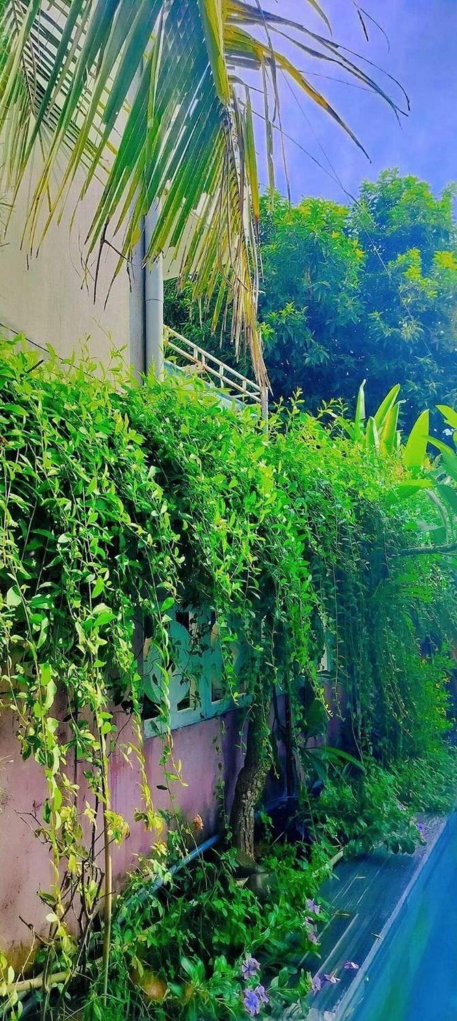 Hoi An Mountain House Villa エクステリア 写真